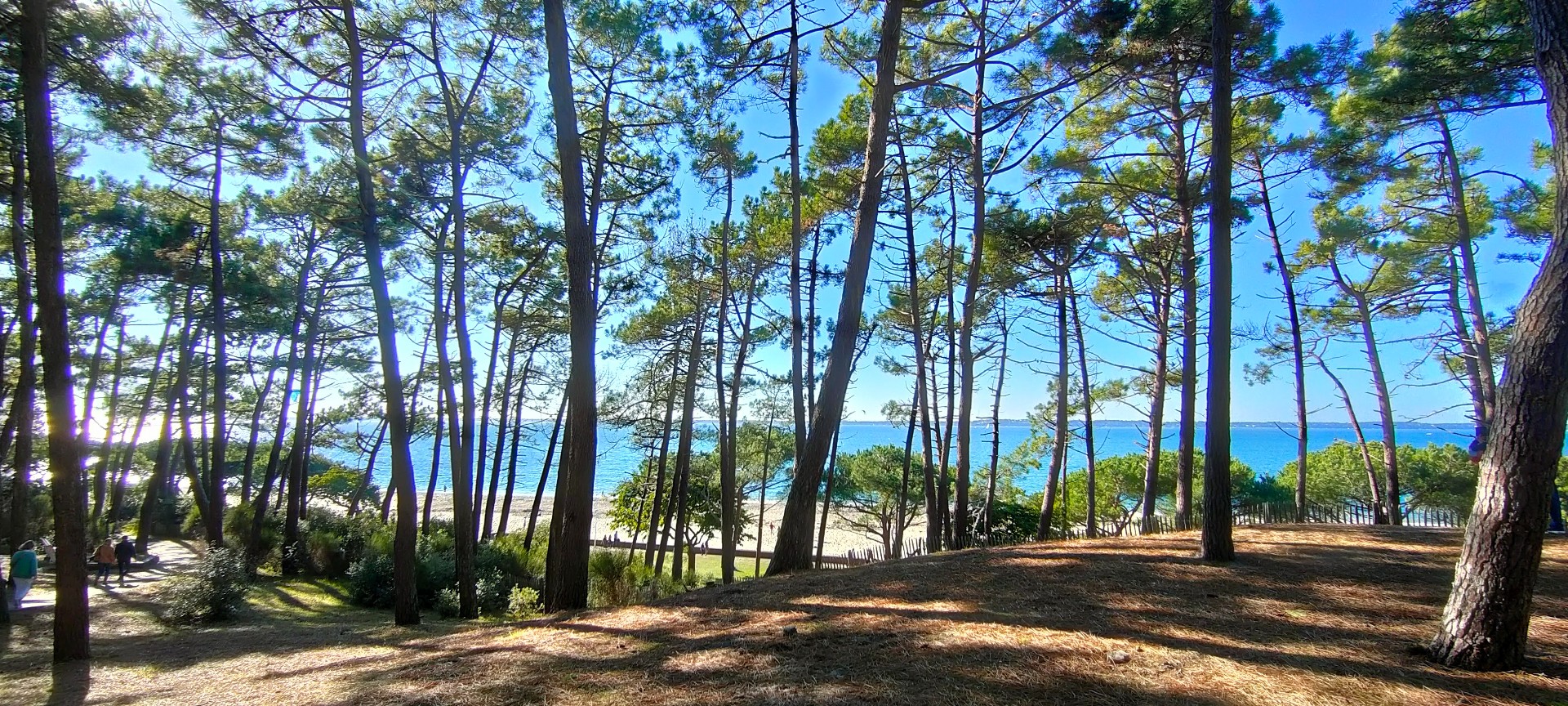 Img20211017162441