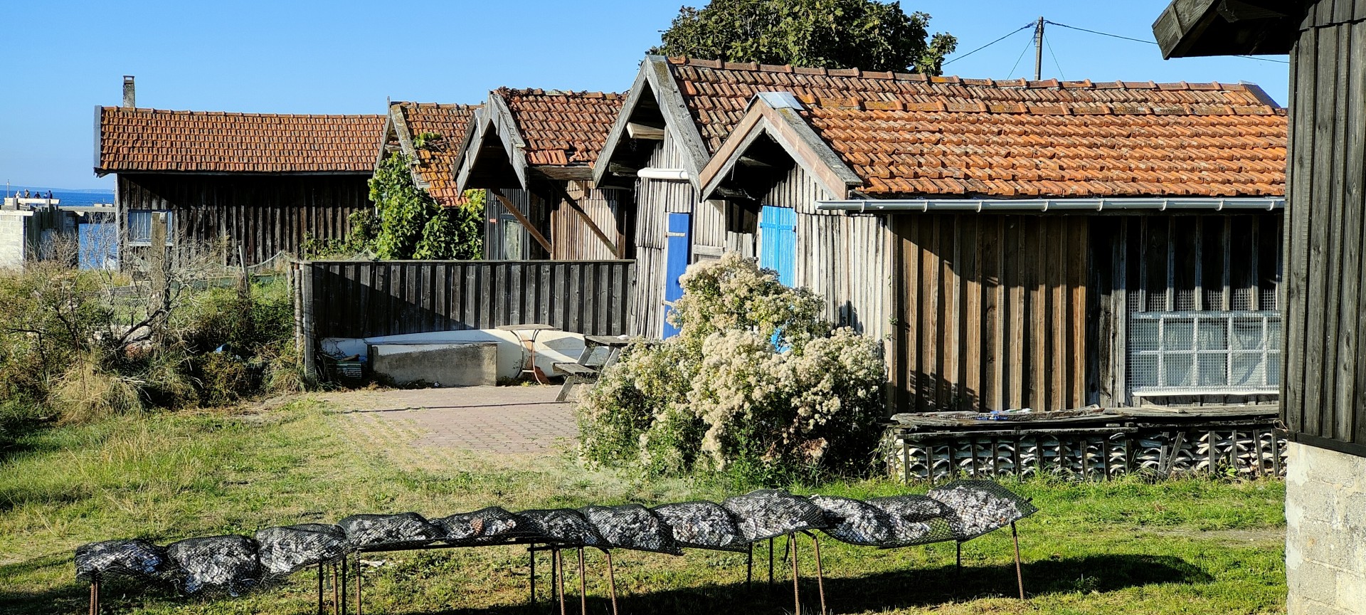 Img20211017170828